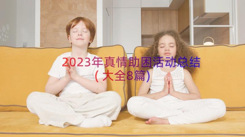 2023年真情助困活动总结(大全8篇)