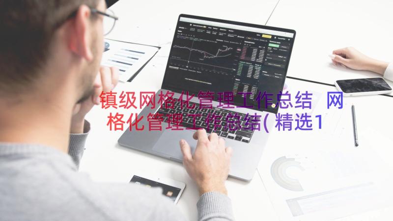 镇级网格化管理工作总结 网格化管理工作总结(精选18篇)