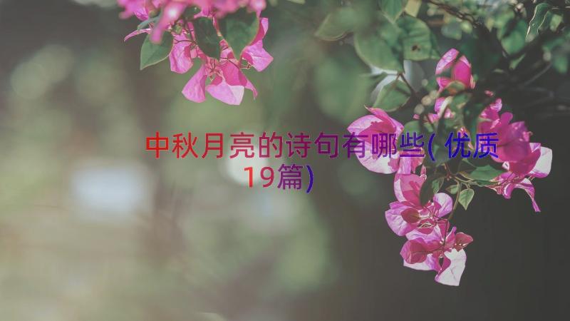 中秋月亮的诗句有哪些(优质19篇)