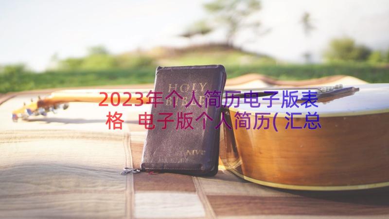 2023年个人简历电子版表格 电子版个人简历(汇总8篇)