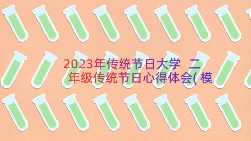 2023年传统节日大学 二年级传统节日心得体会(模板14篇)