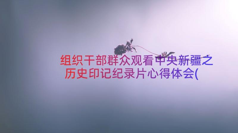 组织干部群众观看中央新疆之历史印记纪录片心得体会(通用13篇)