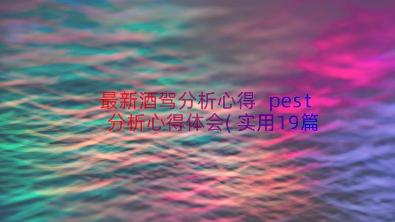 最新酒驾分析心得 pest分析心得体会(实用19篇)