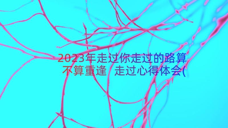 2023年走过你走过的路算不算重逢 走过心得体会(大全19篇)