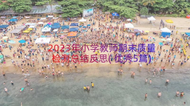 2023年小学教师期末质量检测总结反思(优秀5篇)