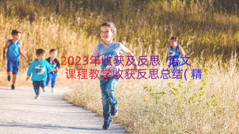 2023年收获及反思 语文课程教学收获反思总结(精选10篇)