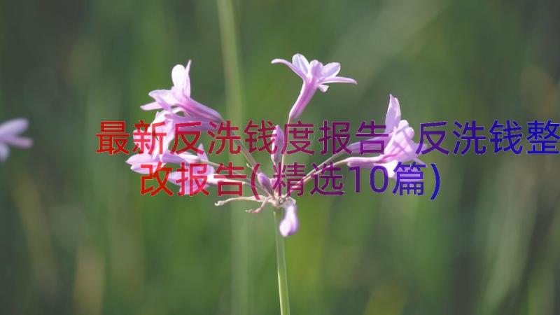 最新反洗钱度报告 反洗钱整改报告(精选10篇)