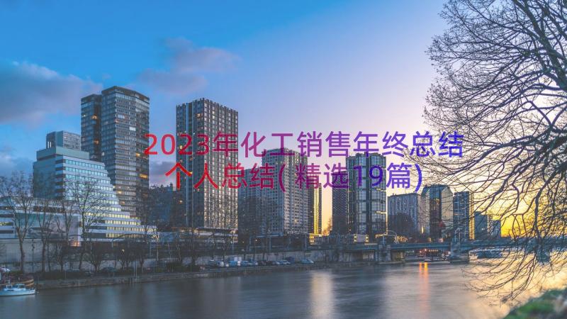 2023年化工销售年终总结个人总结(精选19篇)