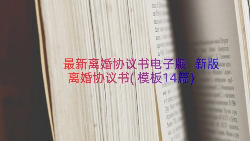 最新离婚协议书电子版 新版离婚协议书(模板14篇)