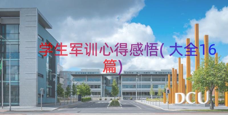 学生军训心得感悟(大全16篇)