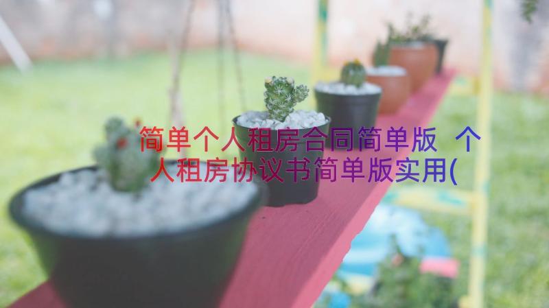 简单个人租房合同简单版 个人租房协议书简单版实用(大全6篇)