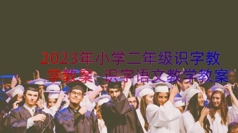 2023年小学二年级识字教学教案 识字语文教学教案教案(精选13篇)