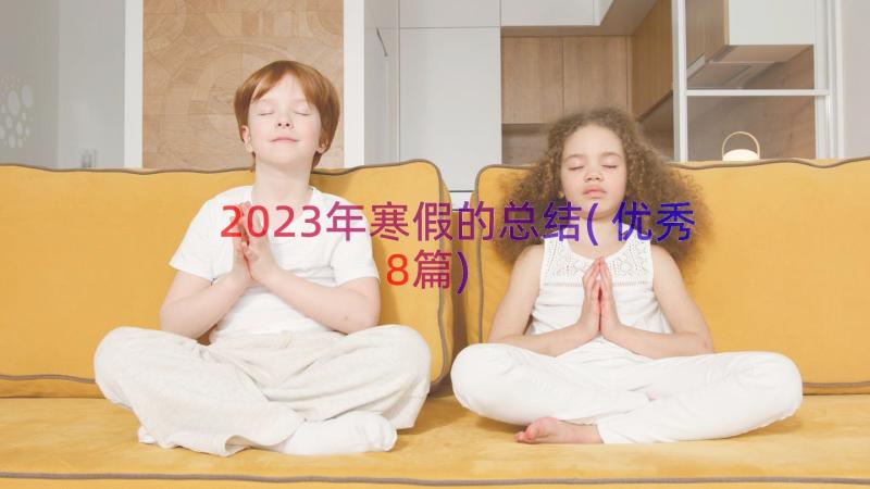 2023年寒假的总结(优秀8篇)