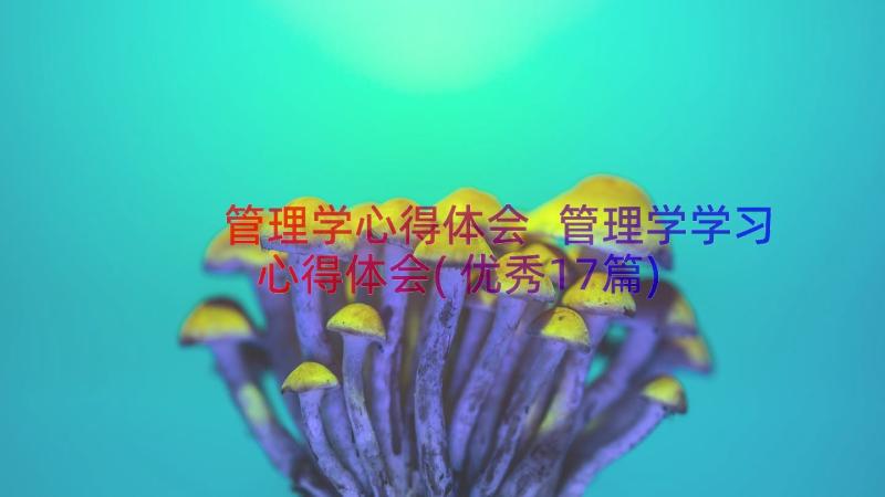 管理学心得体会 管理学学习心得体会(优秀17篇)