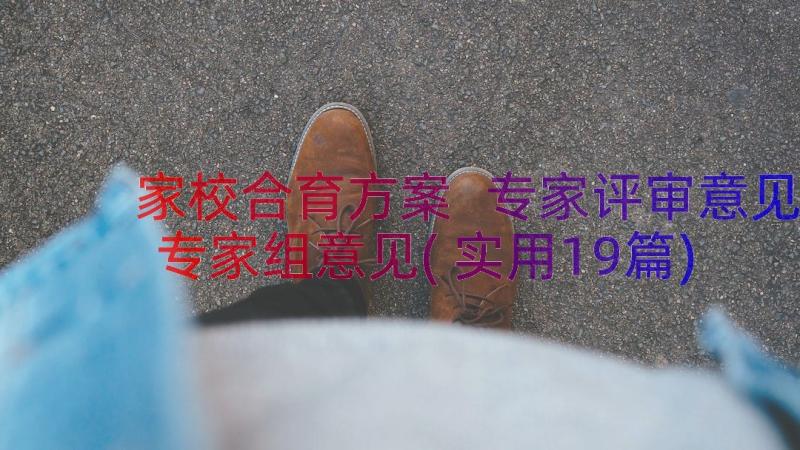 家校合育方案 专家评审意见专家组意见(实用19篇)