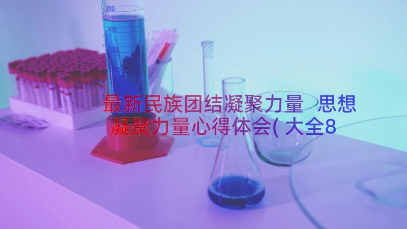 最新民族团结凝聚力量 思想凝聚力量心得体会(大全8篇)