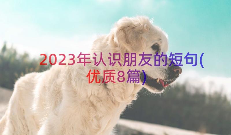 2023年认识朋友的短句(优质8篇)