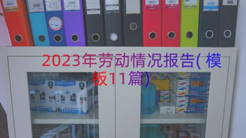 2023年劳动情况报告(模板11篇)