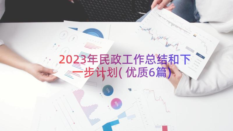 2023年民政工作总结和下一步计划(优质6篇)