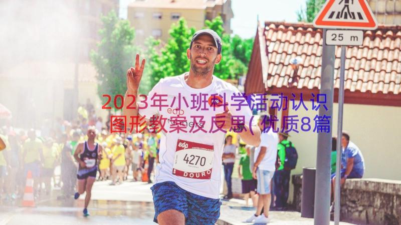 2023年小班科学活动认识图形教案及反思(优质8篇)