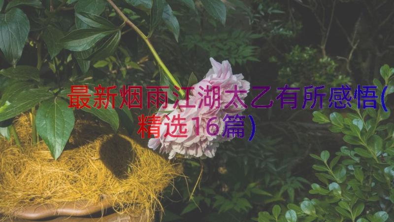 最新烟雨江湖太乙有所感悟(精选16篇)