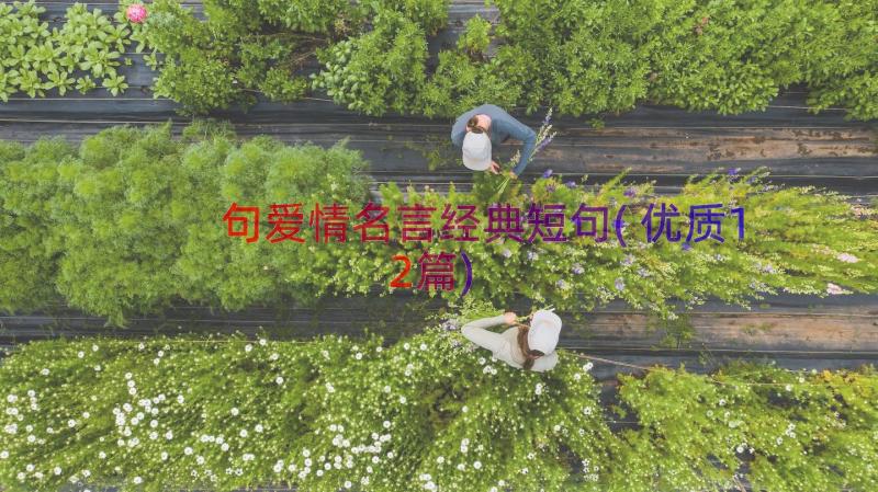 句爱情名言经典短句(优质12篇)