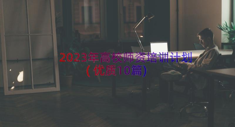 2023年高校师资培训计划(优质10篇)