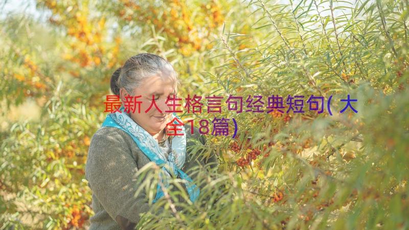 最新人生格言句经典短句(大全18篇)