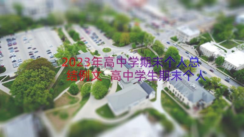 2023年高中学期末个人总结例文 高中学生期末个人总结(实用11篇)