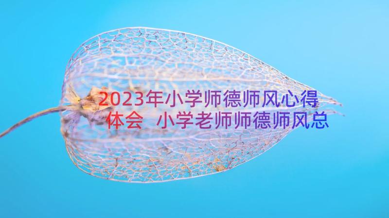 2023年小学师德师风心得体会 小学老师师德师风总结(优质7篇)