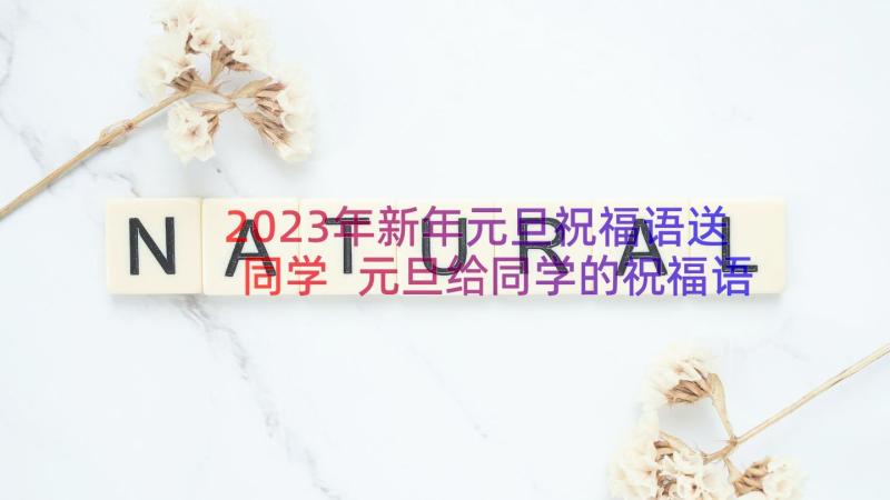 2023年新年元旦祝福语送同学 元旦给同学的祝福语(汇总15篇)