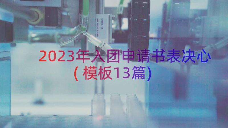 2023年入团申请书表决心(模板13篇)