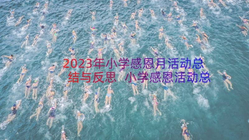 2023年小学感恩月活动总结与反思 小学感恩活动总结(优秀16篇)