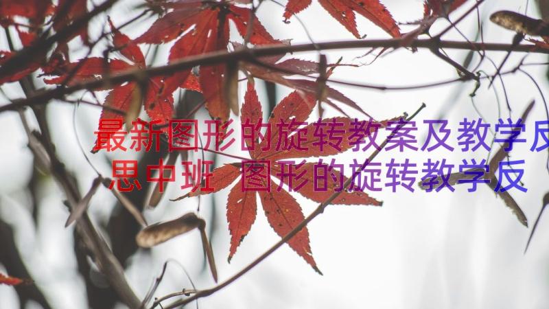 最新图形的旋转教案及教学反思中班 图形的旋转教学反思(精选8篇)