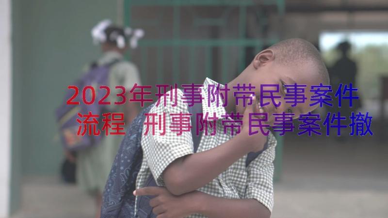 2023年刑事附带民事案件流程 刑事附带民事案件撤诉申请书(通用8篇)