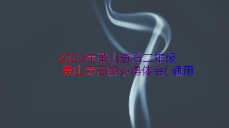 2023年黄山奇石二年级 黄山奇石的心得体会(通用16篇)