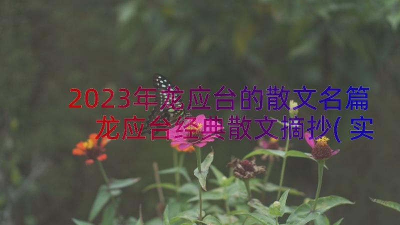 2023年龙应台的散文名篇 龙应台经典散文摘抄(实用5篇)