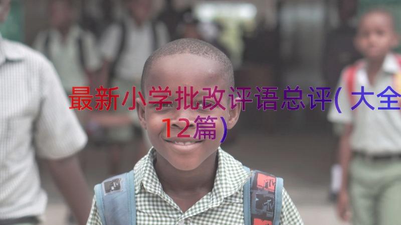 最新小学批改评语总评(大全12篇)