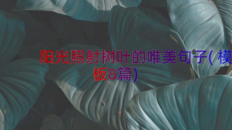 阳光照射树叶的唯美句子(模板8篇)