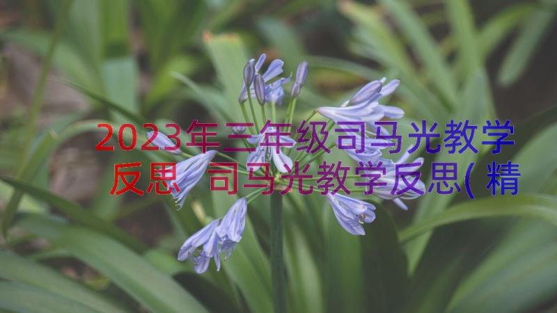 2023年三年级司马光教学反思 司马光教学反思(精选9篇)