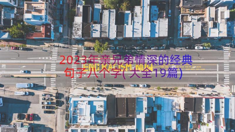 2023年亲兄弟情深的经典句子八个字(大全19篇)