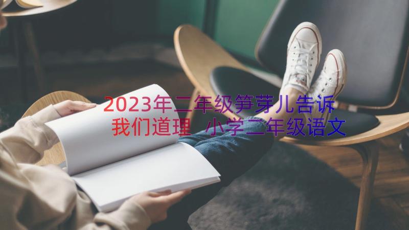 2023年二年级笋芽儿告诉我们道理 小学二年级语文雷雨原文教案及教学反思(通用13篇)