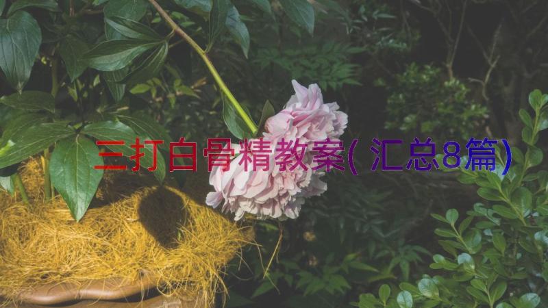 三打白骨精教案(汇总8篇)