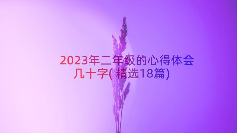 2023年二年级的心得体会几十字(精选18篇)