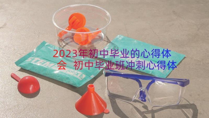 2023年初中毕业的心得体会 初中毕业班冲刺心得体会(优秀8篇)