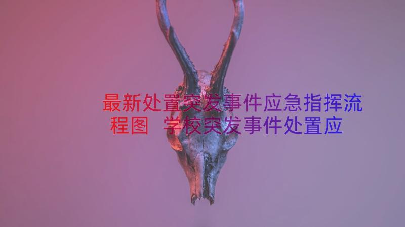 最新处置突发事件应急指挥流程图 学校突发事件处置应急处置预案(实用12篇)