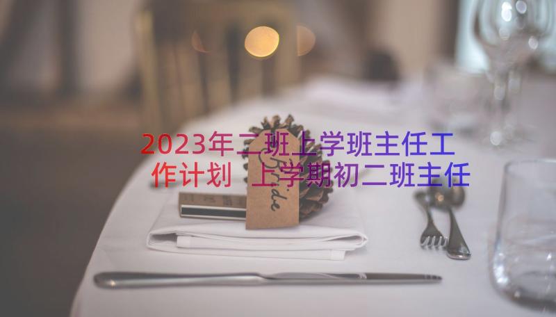 2023年二班上学班主任工作计划 上学期初二班主任工作计划班主任工作计划(通用17篇)