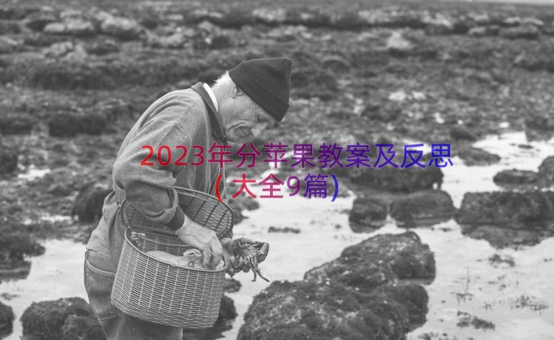 2023年分苹果教案及反思(大全9篇)