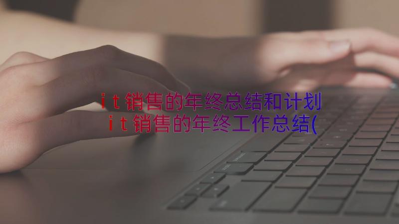 it销售的年终总结和计划 it销售的年终工作总结(精选8篇)