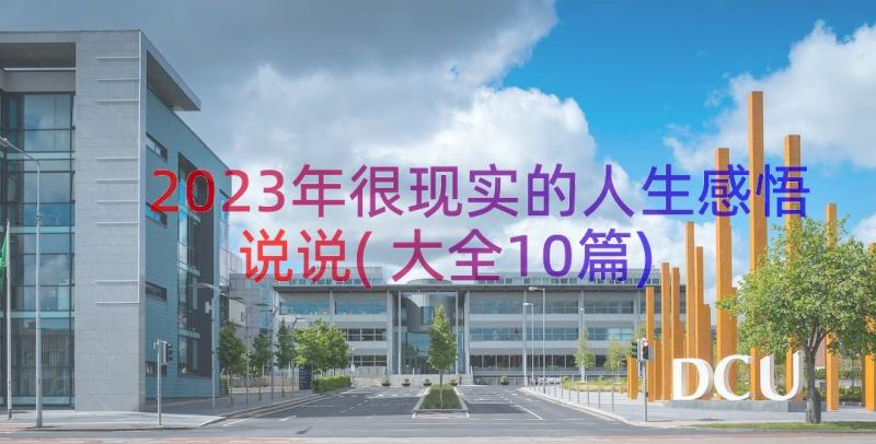 2023年很现实的人生感悟说说(大全10篇)